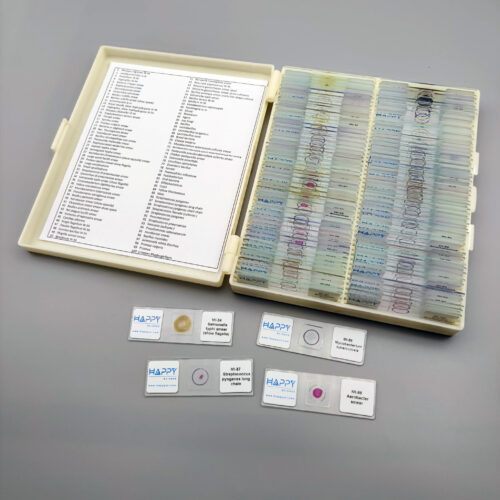 Advanced Set of 100pcs microbiology prepared slides - Image 2