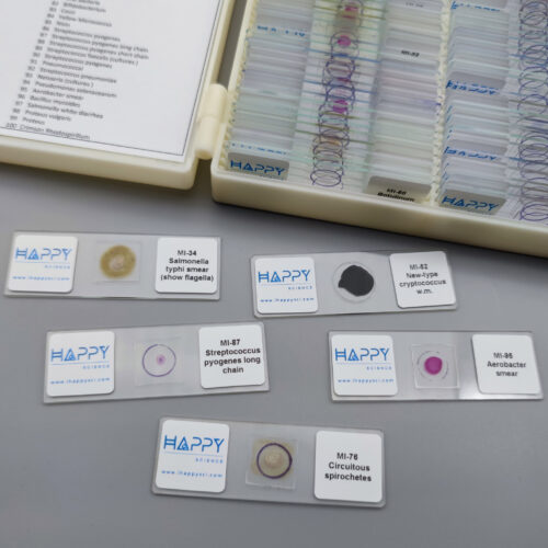 Advanced Set of 100pcs microbiology prepared slides - Image 3