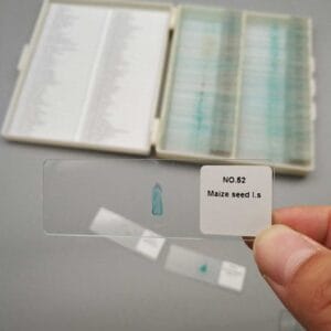 botany prepared microscope slides