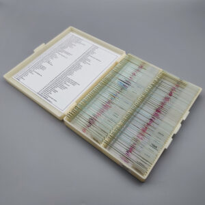 100pcs university standard animal histology slides