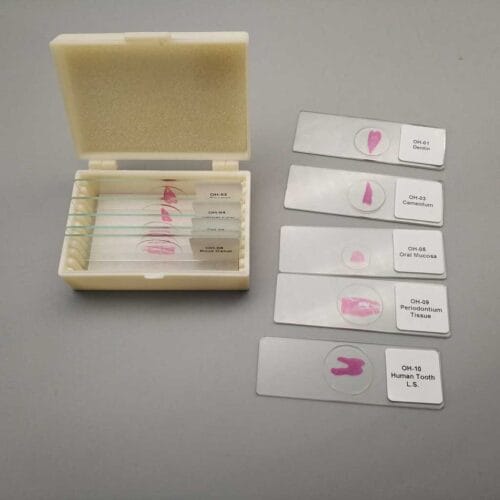 Oral-histology slides