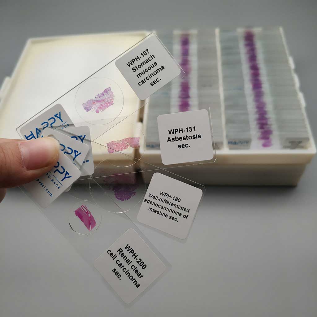 263pcs/set Human pathology slides for university