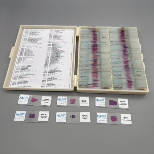 Advanced Pathology teaching slides 100pcs