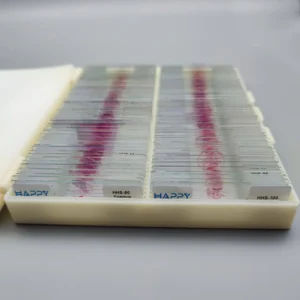 100pcs Histology Slides