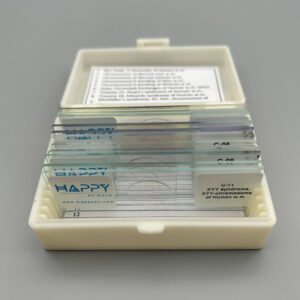 human chromosomes prepared microscope slides