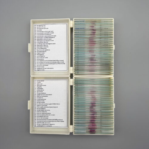 60pcs Human Oral Pathology Slides, Oral Pathology Histology Prepared Microscope Slides - Image 3