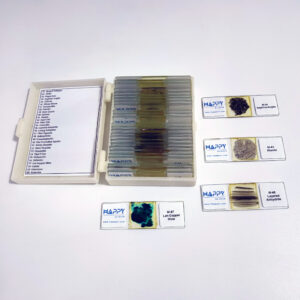 Set Two 30pcs mineral slides ground prepared microscope slides