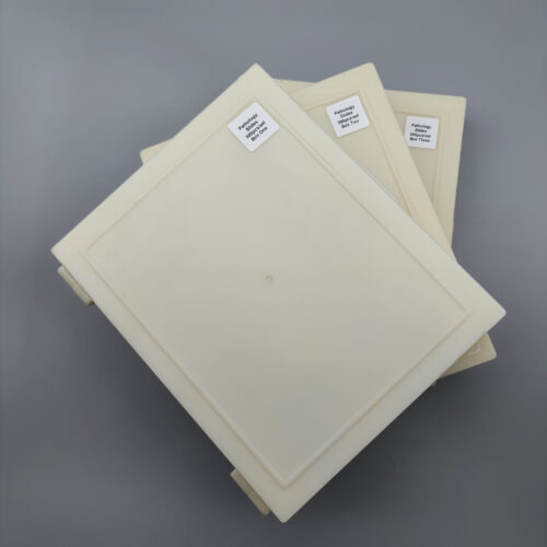 300pcs human pathology microscope slides, large human pathology slides set, Factory Outlets - Image 4