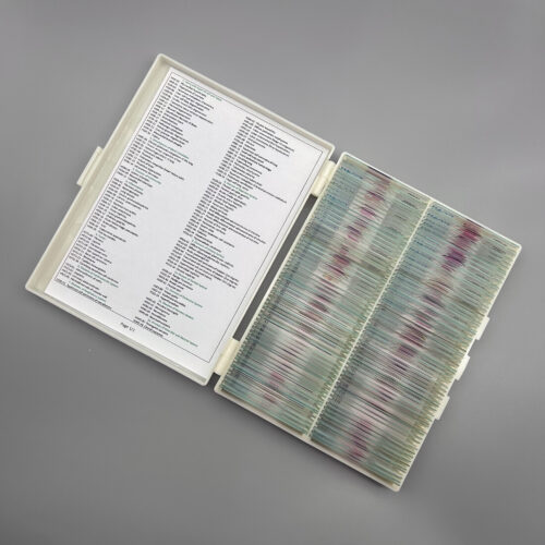 Advanced 120pcs Human Histopathology Slides wholesale, University Standard, Factory Outlets - Image 3