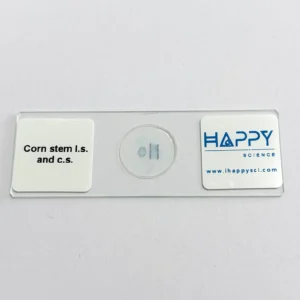 Corn stem microscope slide